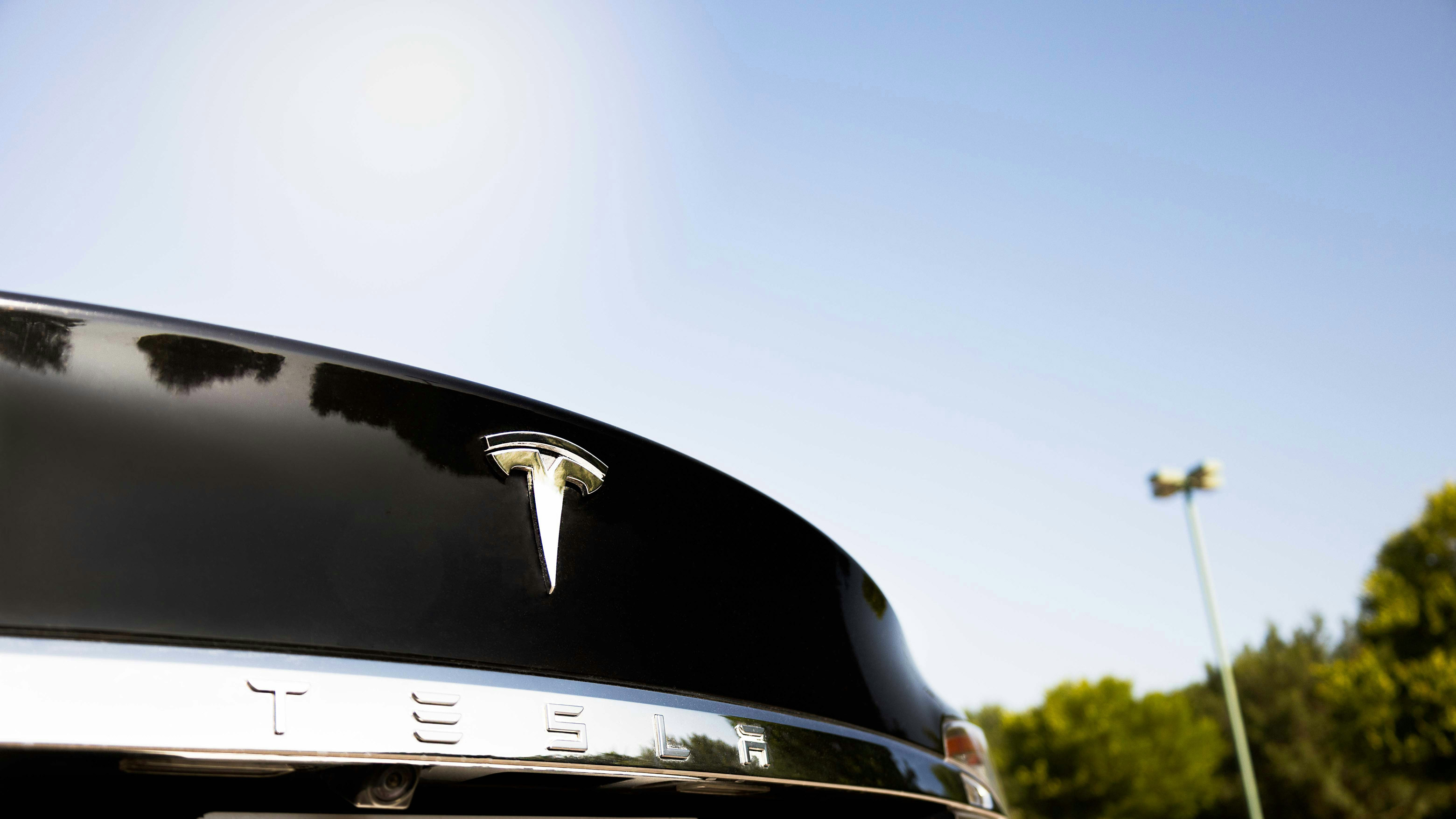 Tesla with Xpel Window Film Tint, Ceramic Coating, and Paint Protection Clear Bra Film